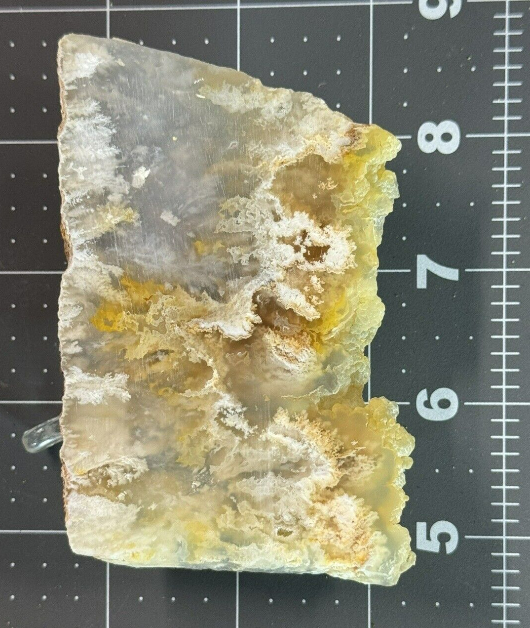 Graveyard Point Plume Agate Polished Display – Collectors Slab