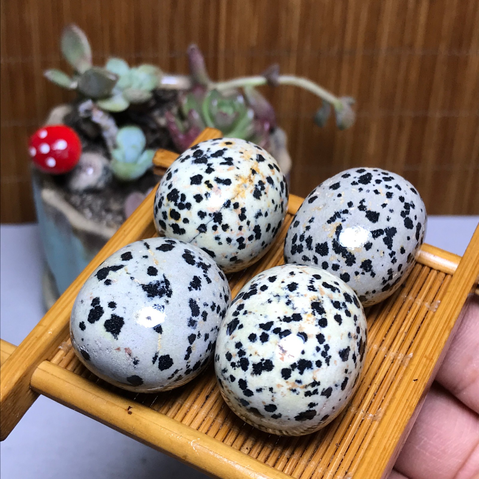 28-23-23mm 4Pcs Natural spotted stone Crystal gemstone Mineral Specimen A4404