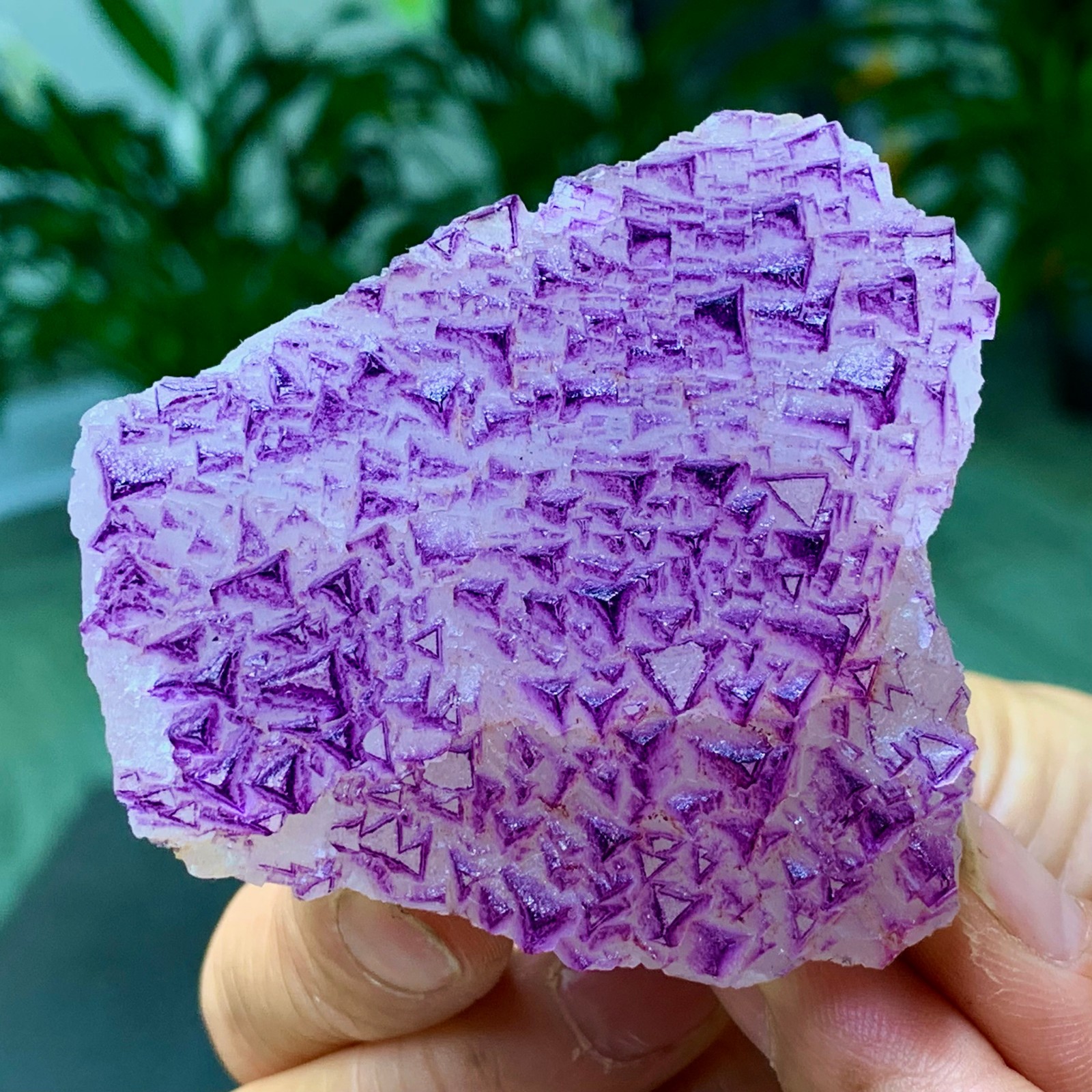 153G Natural fluorite purple edged cubic crystal mineral sample