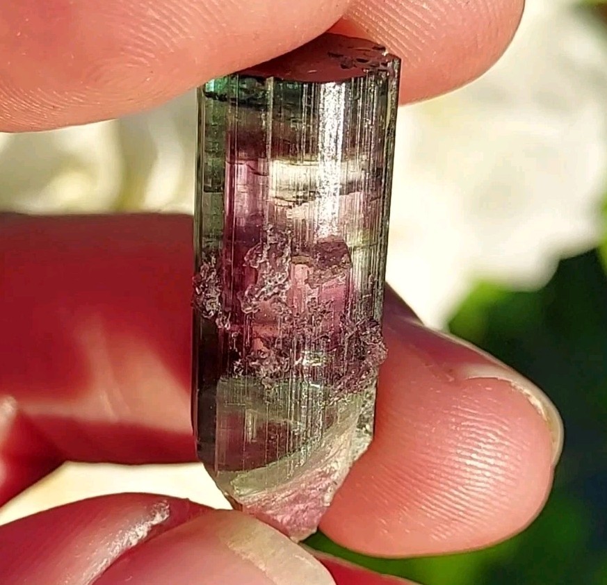 ULTRA RARE BURKHARD’S POCKET TOURMALINE NO REPAIRS PEDERNEIRA MINE BRAZIL