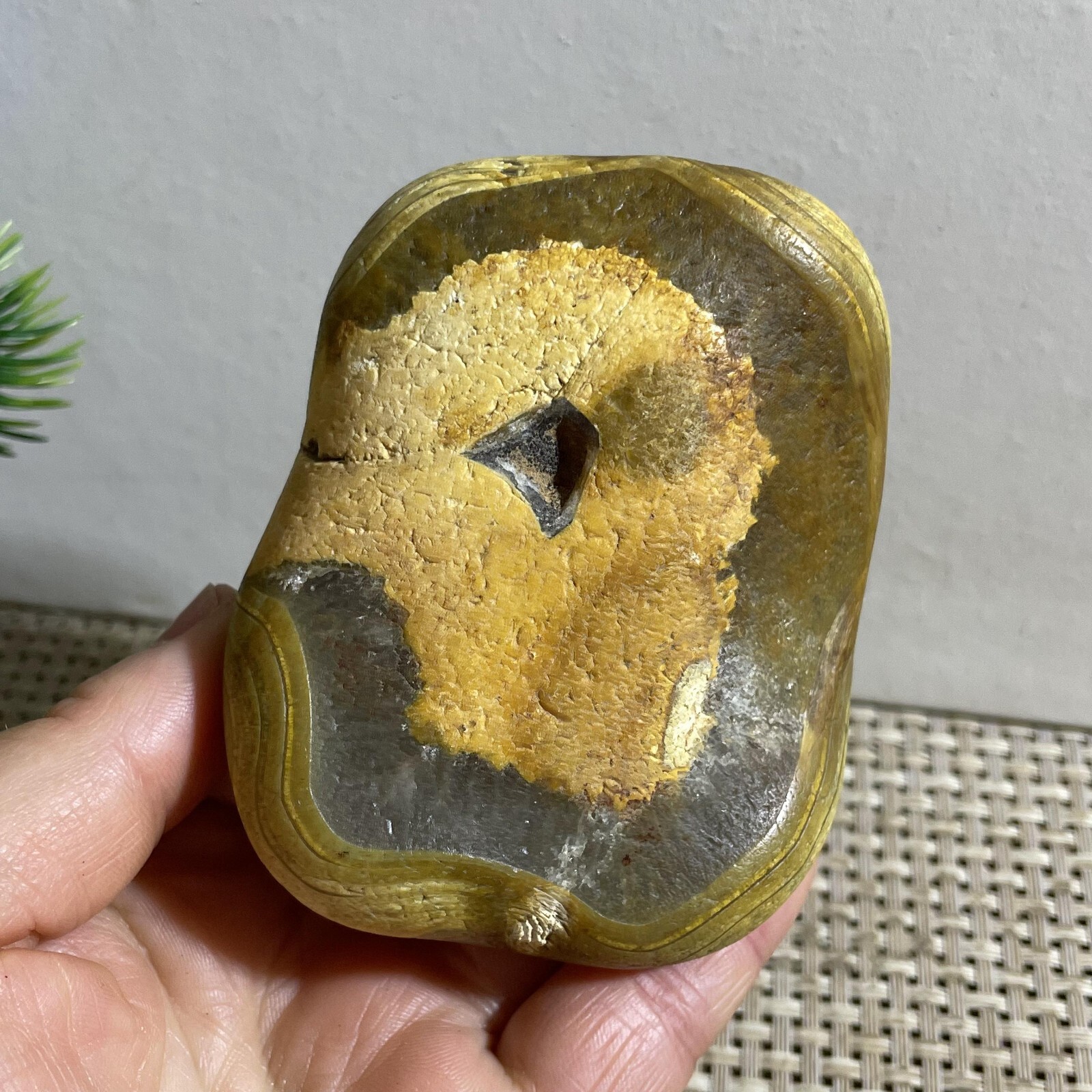 352g Bonsai Suiseki- Gobi Agate Eyes Stone-Rare Stunning Viewing