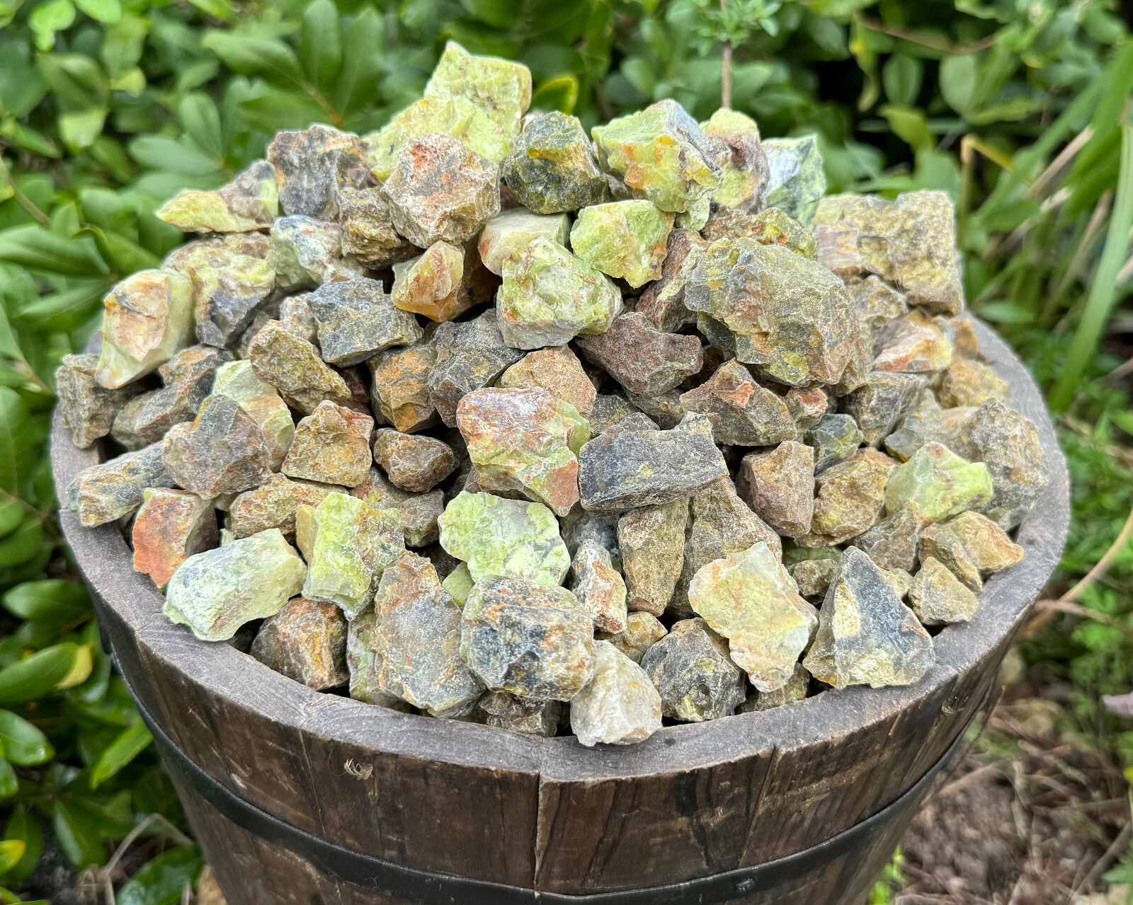 1/2 lb Bulk Wholesale Lot Natural Rough Green Opal (Raw Crystal Gem Stones 8 oz)