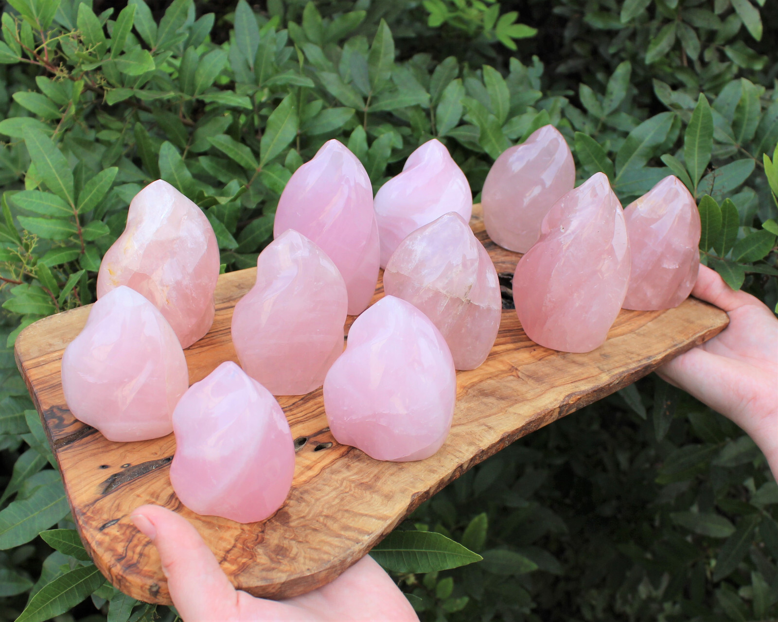 Polished Rose Quartz Crystal Flame – Natural Rose Quartz Flame Cut Base Specimen