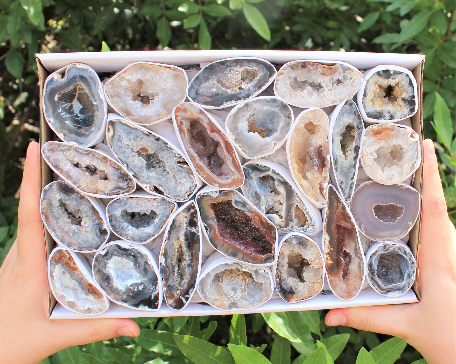 Bulk Large Oco Agate Geodes 1/4 lb Lot, Natural Crystal Druzy Halves (4 oz)