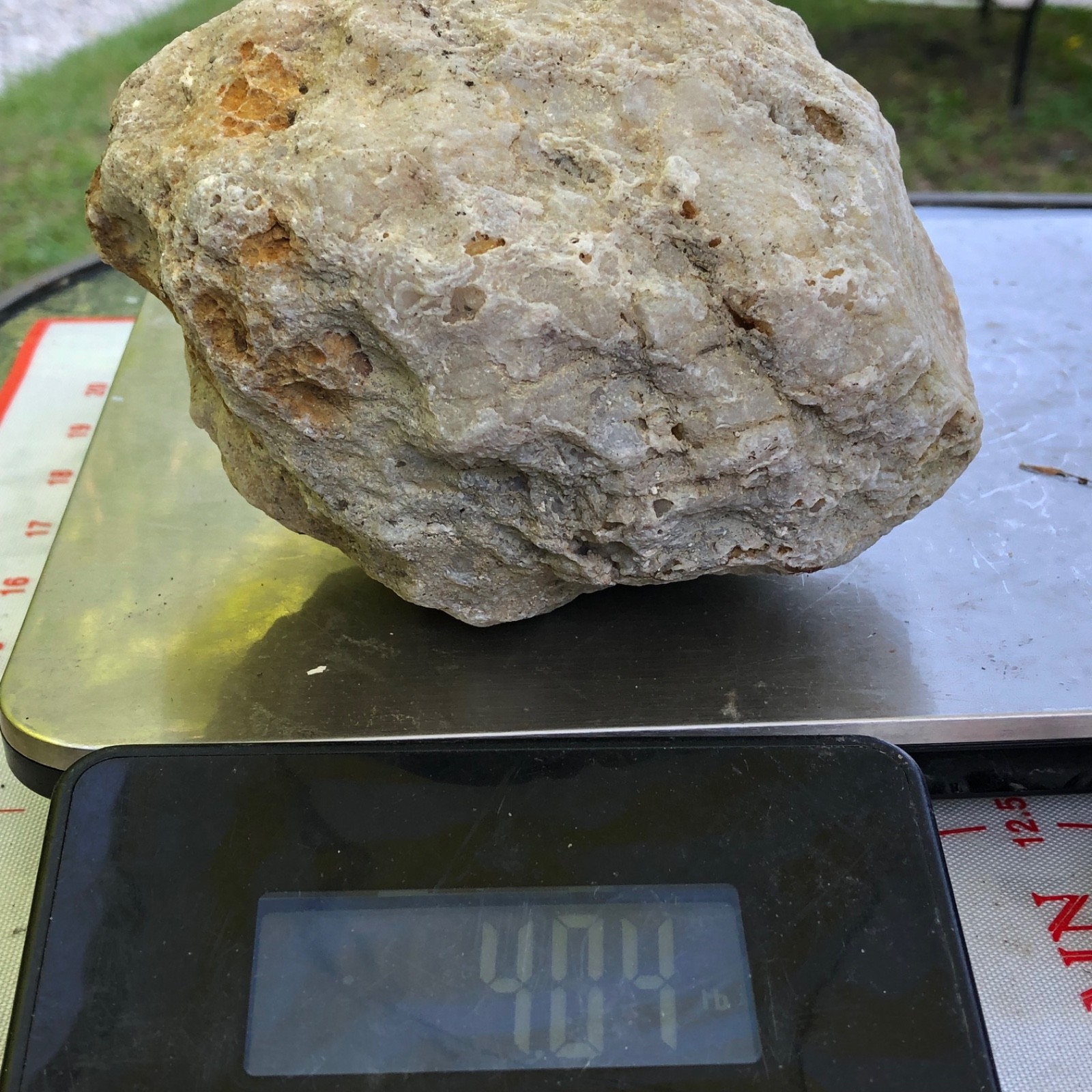 Large Natural Kentucky Geode 4.04 lb 6 in Whole Unopened Exact Mineral Specimen