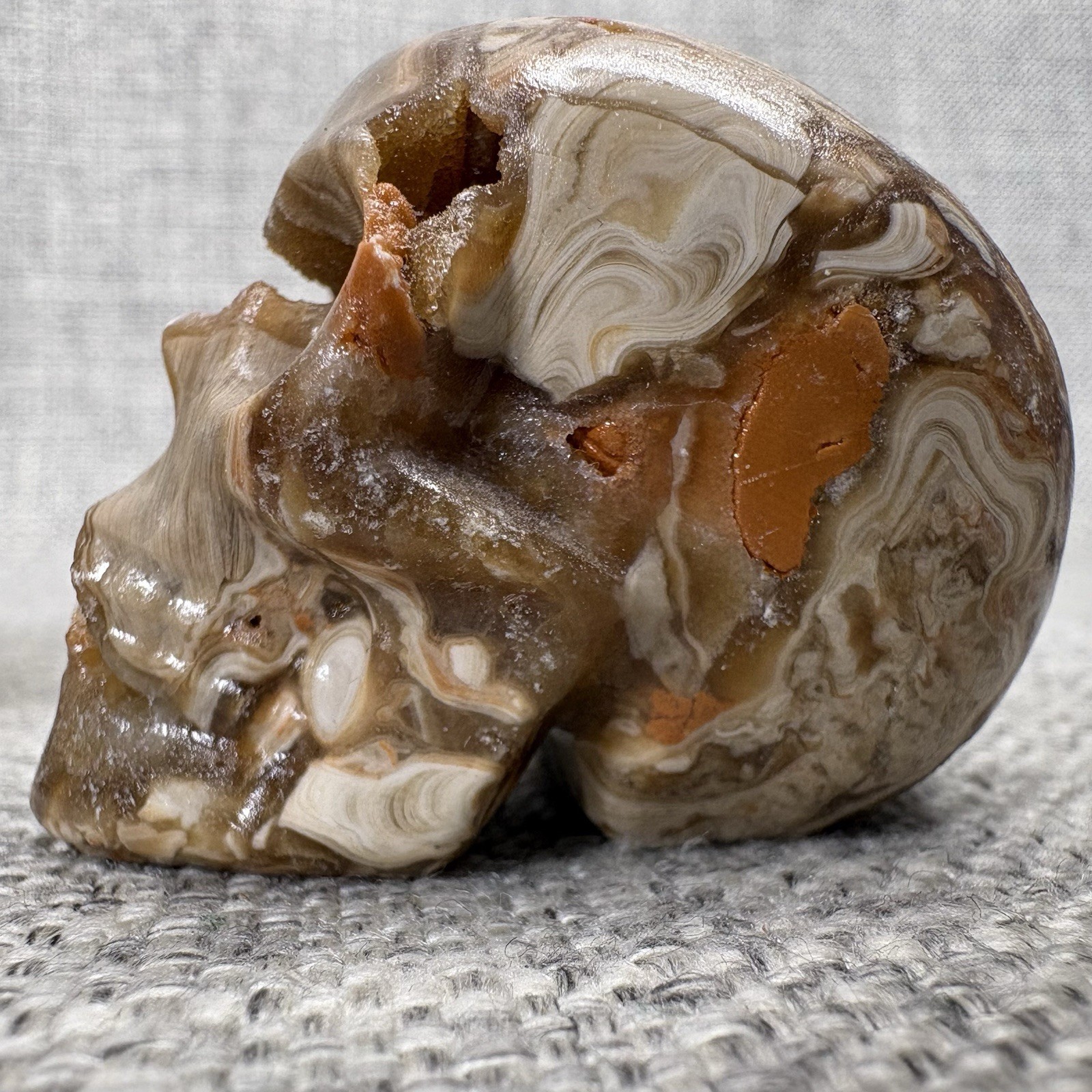 Amber Agate Crystal Skull Set 3pc Druzy Hand Carved Polished Stone Brown