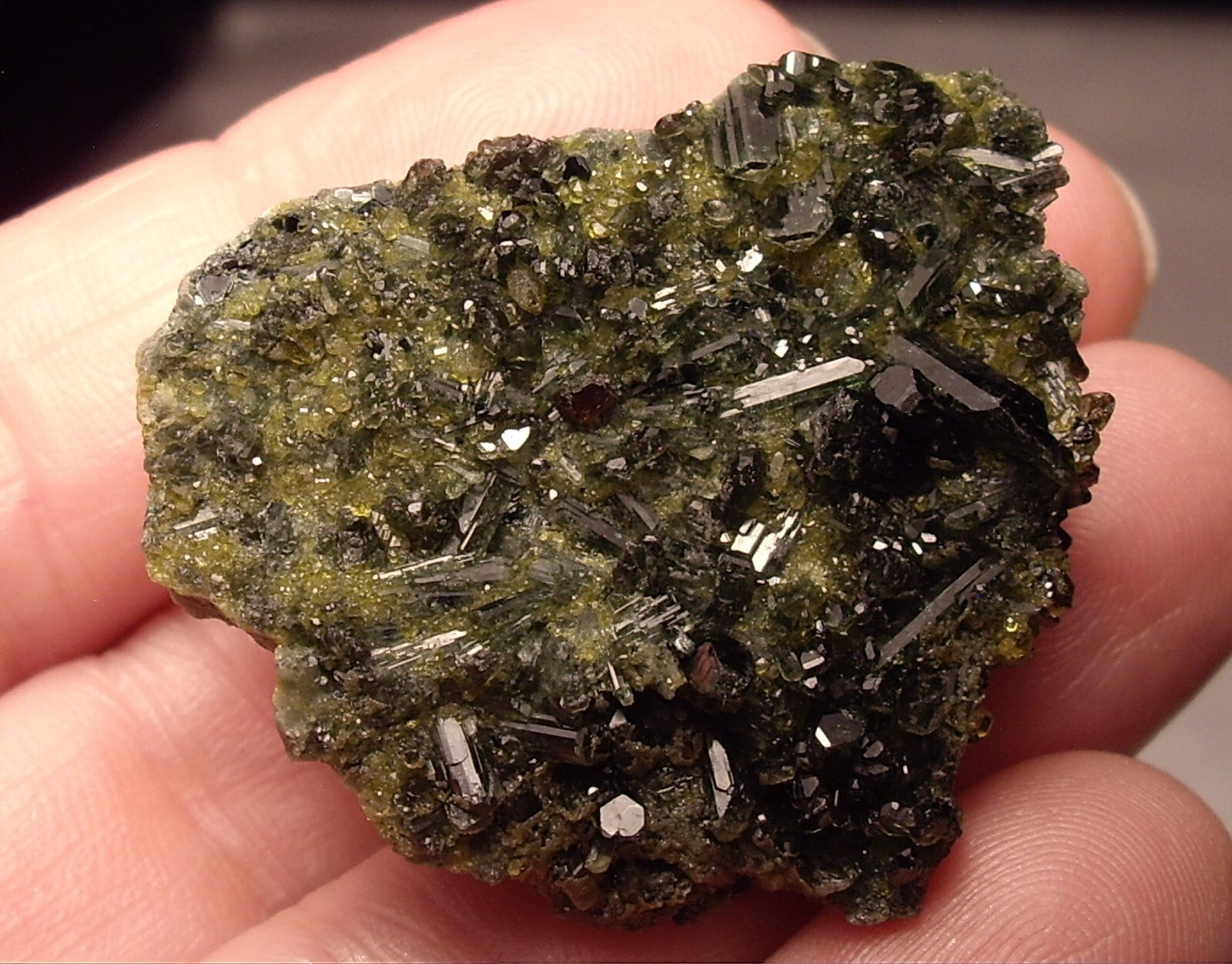 Awesome Magnetite, Vesuvianite, Garnet, and Diopside Crystals on Matrix 23.3g