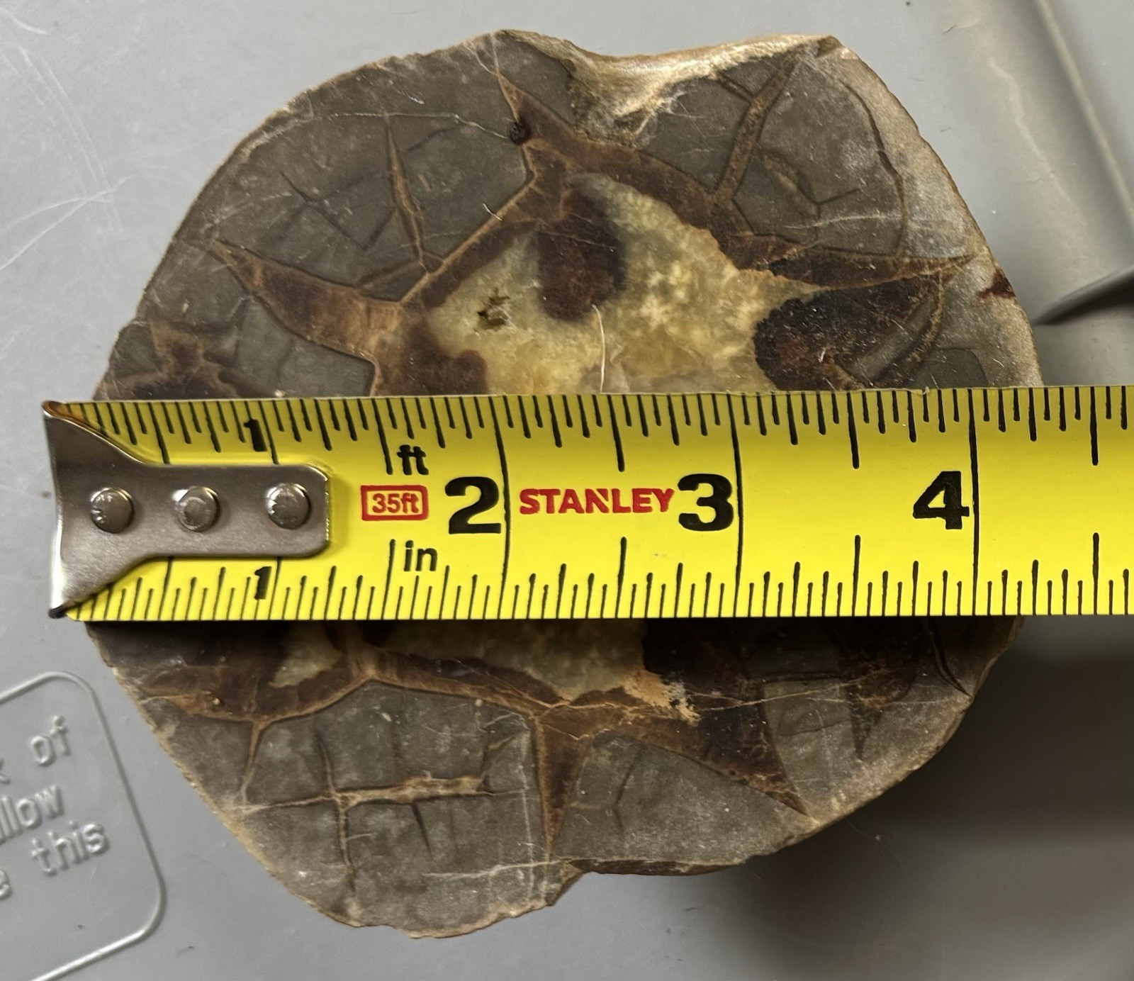 Septarian Nodule Slab Stone Rock Mineral Utah Specimen Yellow Crystals