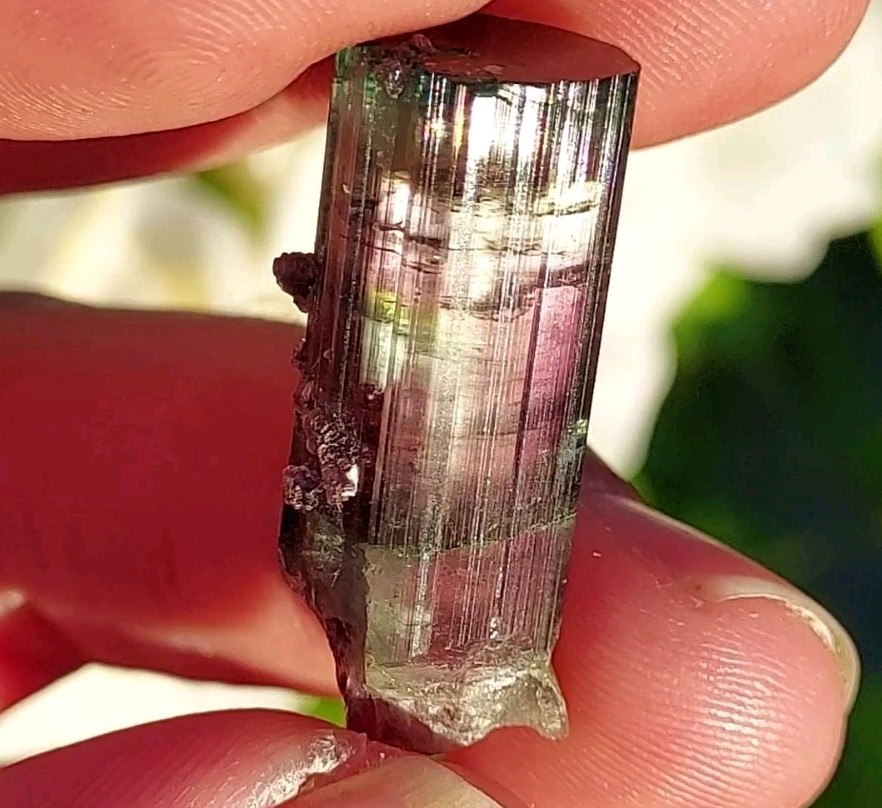 ULTRA RARE BURKHARD’S POCKET TOURMALINE NO REPAIRS PEDERNEIRA MINE BRAZIL