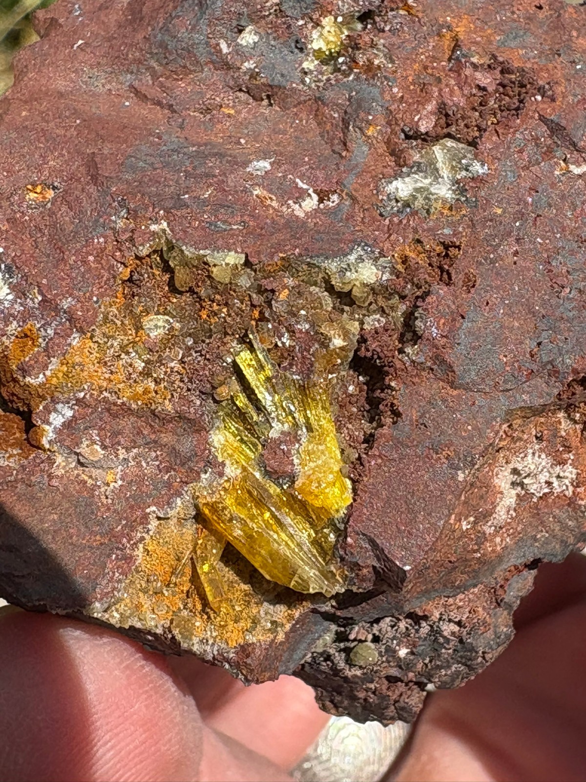 Legrandite crystal spray in matrix, Ojuela mine, Mapimi, Durango, Mexico