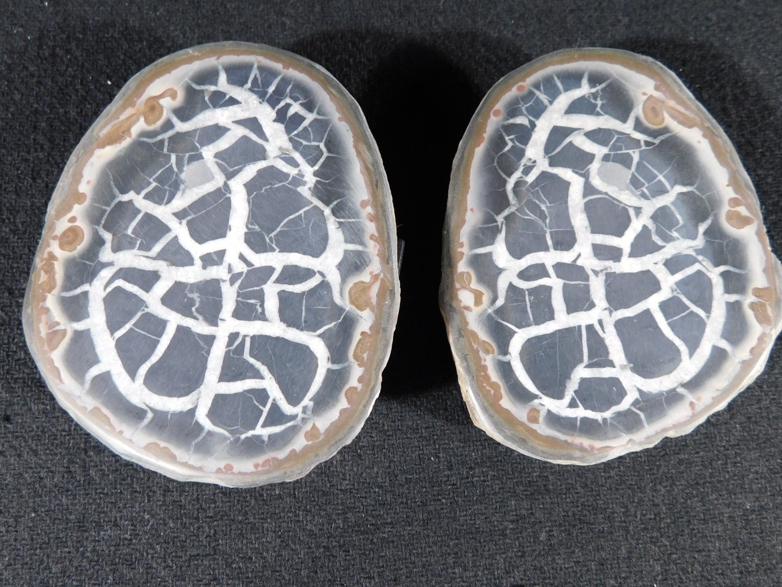 Neat! Lighting Like Pattern! Split and Polished SEPTARIAN Nodule Morocco 248gr