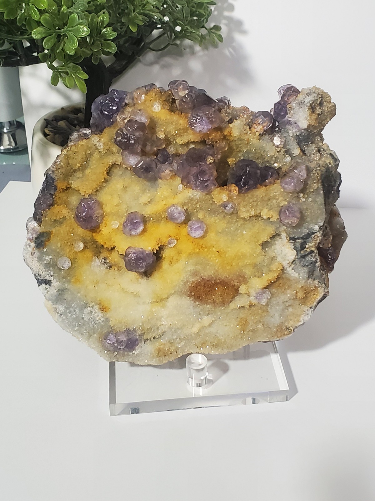 Tanzanite Fluorite On tan-colored quartz-rich matrix Statement PEACE 1KG 210G