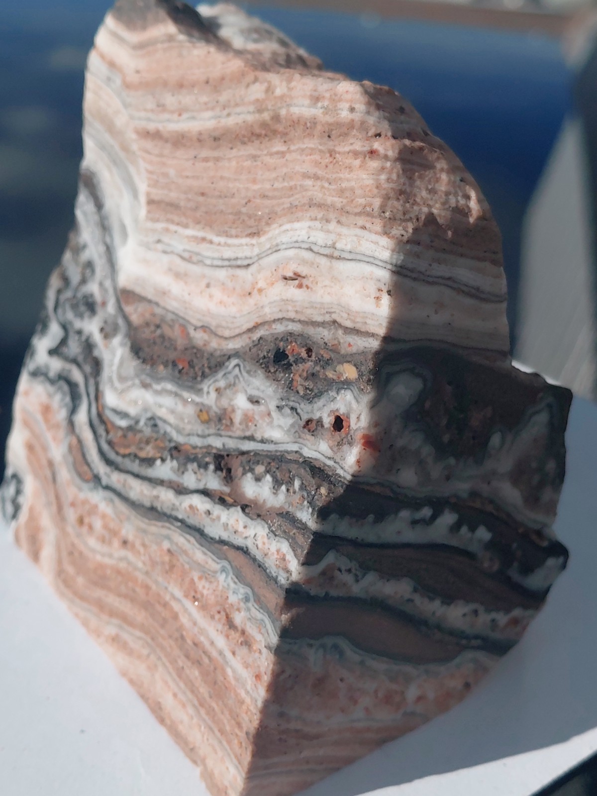 Zebra Calcite Self-Standing Display 1 1/4 Lb Dendritic Psychedelic Crisp Bands