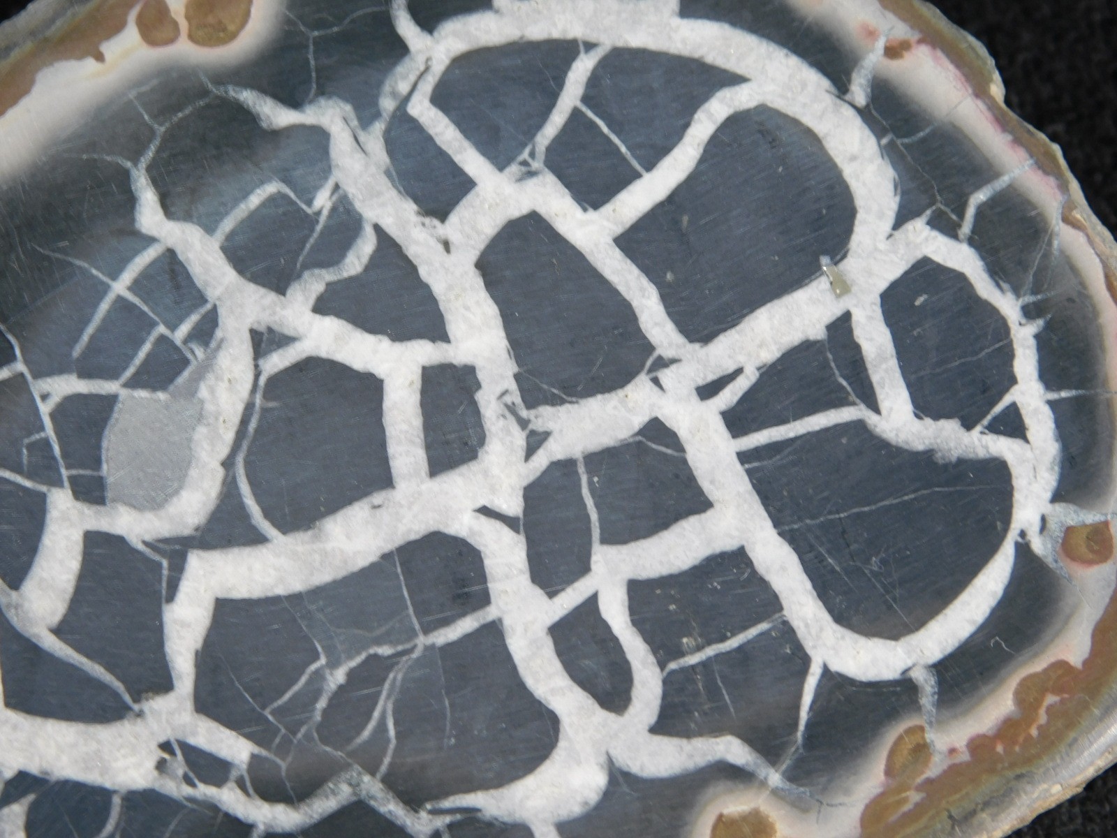 Neat! Lighting Like Pattern! Split and Polished SEPTARIAN Nodule Morocco 248gr