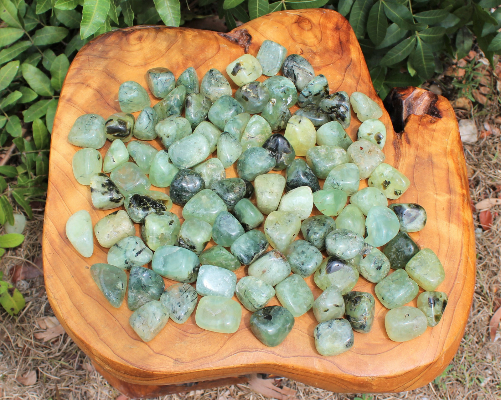1/4 lb Prehnite with Epidote Tumbled Stones (Crystal Healing Reiki) 4 oz