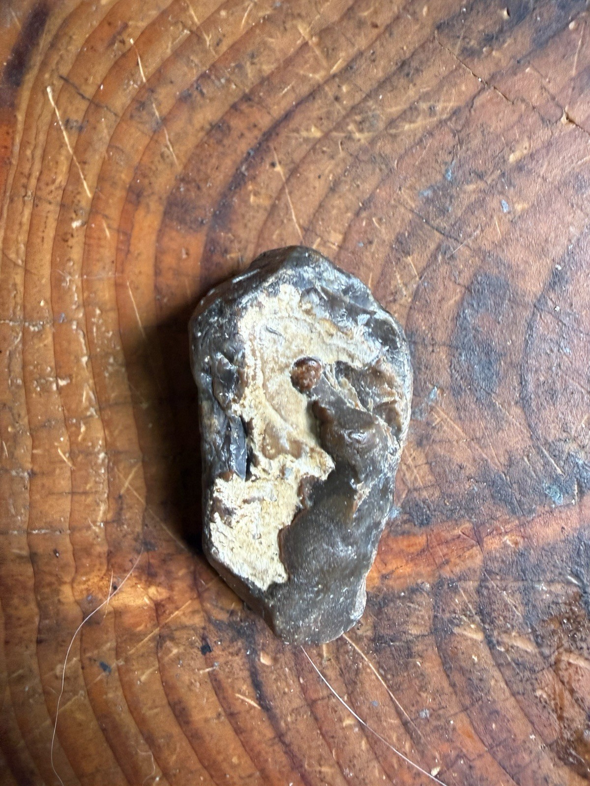 Natural Black & Tan Rock Mineral Specimen Display Piece, Dark Brown Rough Stone