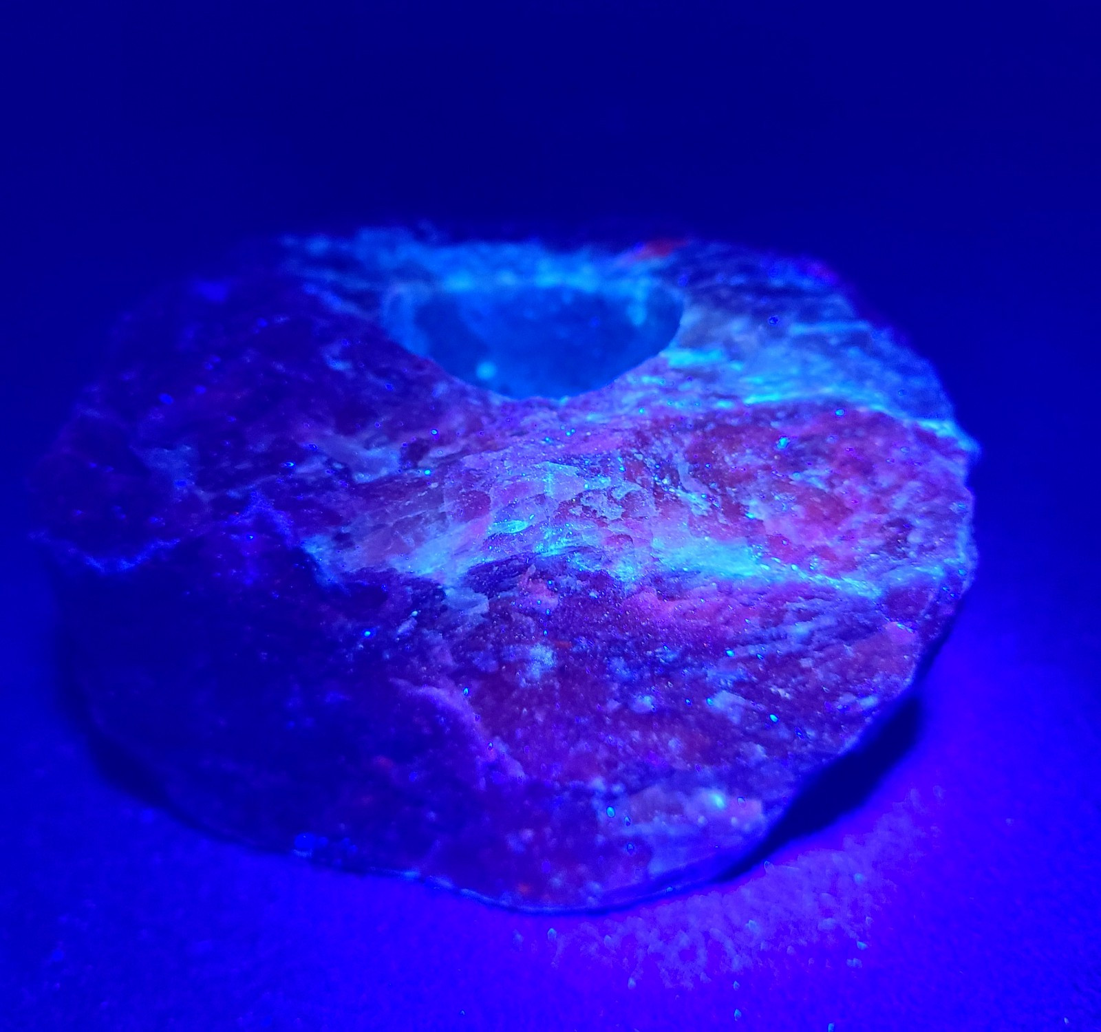 Large Raw 2lb UV Reactive Sodalite Stone Candle or Sphere Holder Tea Light Stand