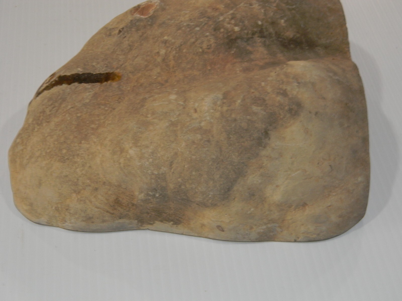 11 lb – Polished SEPTARIAN Nodule Half Utah Cut Bottom Standing