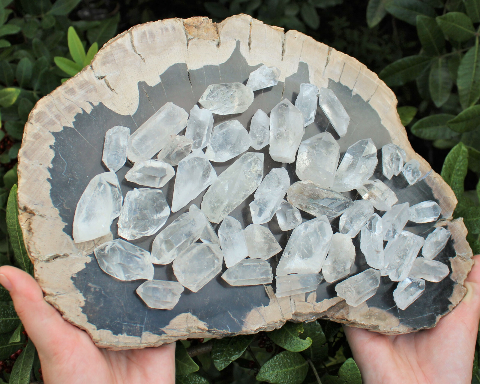 Lot of 3 LARGE Clear Quartz Point Crystals: 1″ – 1.5″ Crystal Points (US Seller)