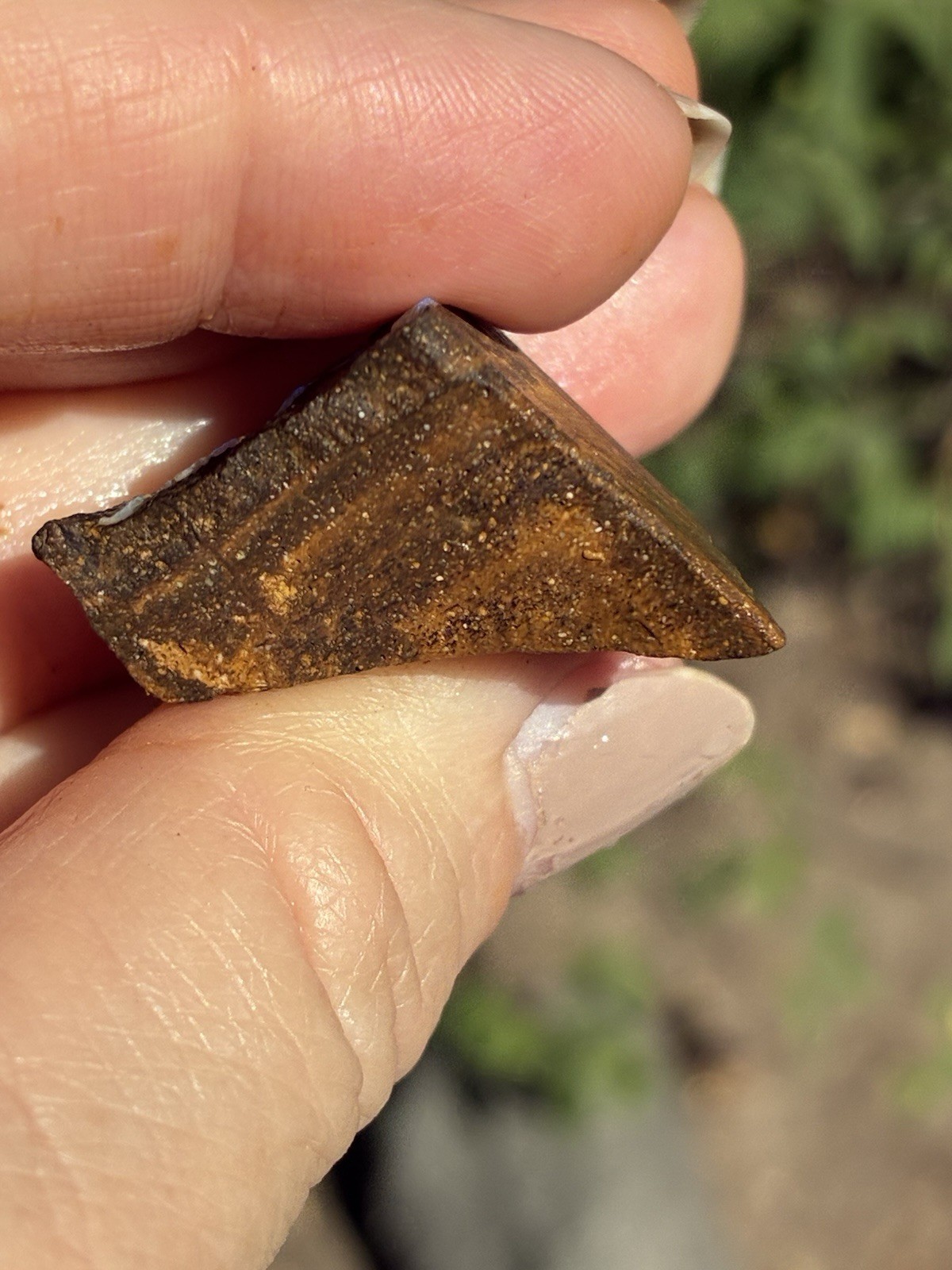 71ct Australian Boulder Opal Rough Loose Multicolor Specimen S