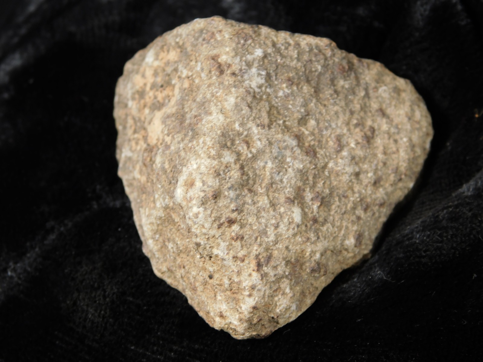 Classified NWA 8245 METEORITE Spots of Dark Fusion Crust! Erfoud, Morocco 74.5gr