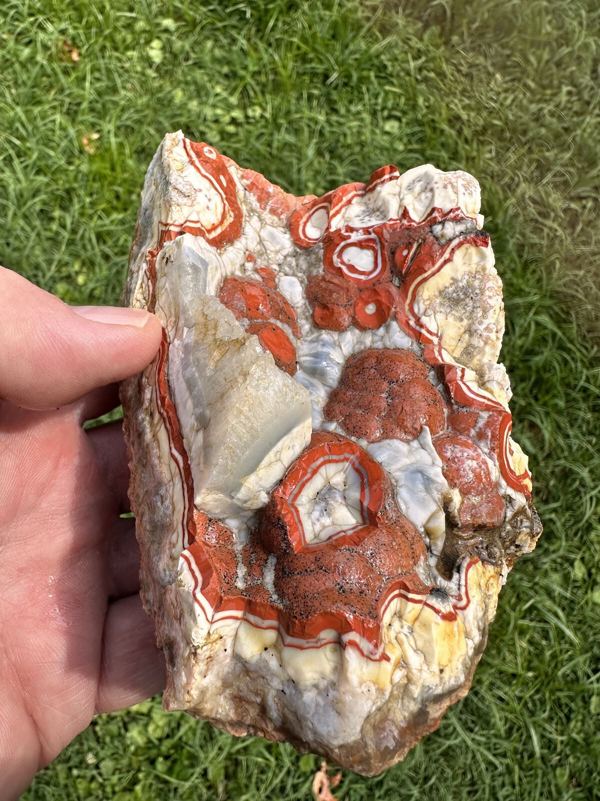 Large Natural Rare Kentucky Agate Rough from Estill County