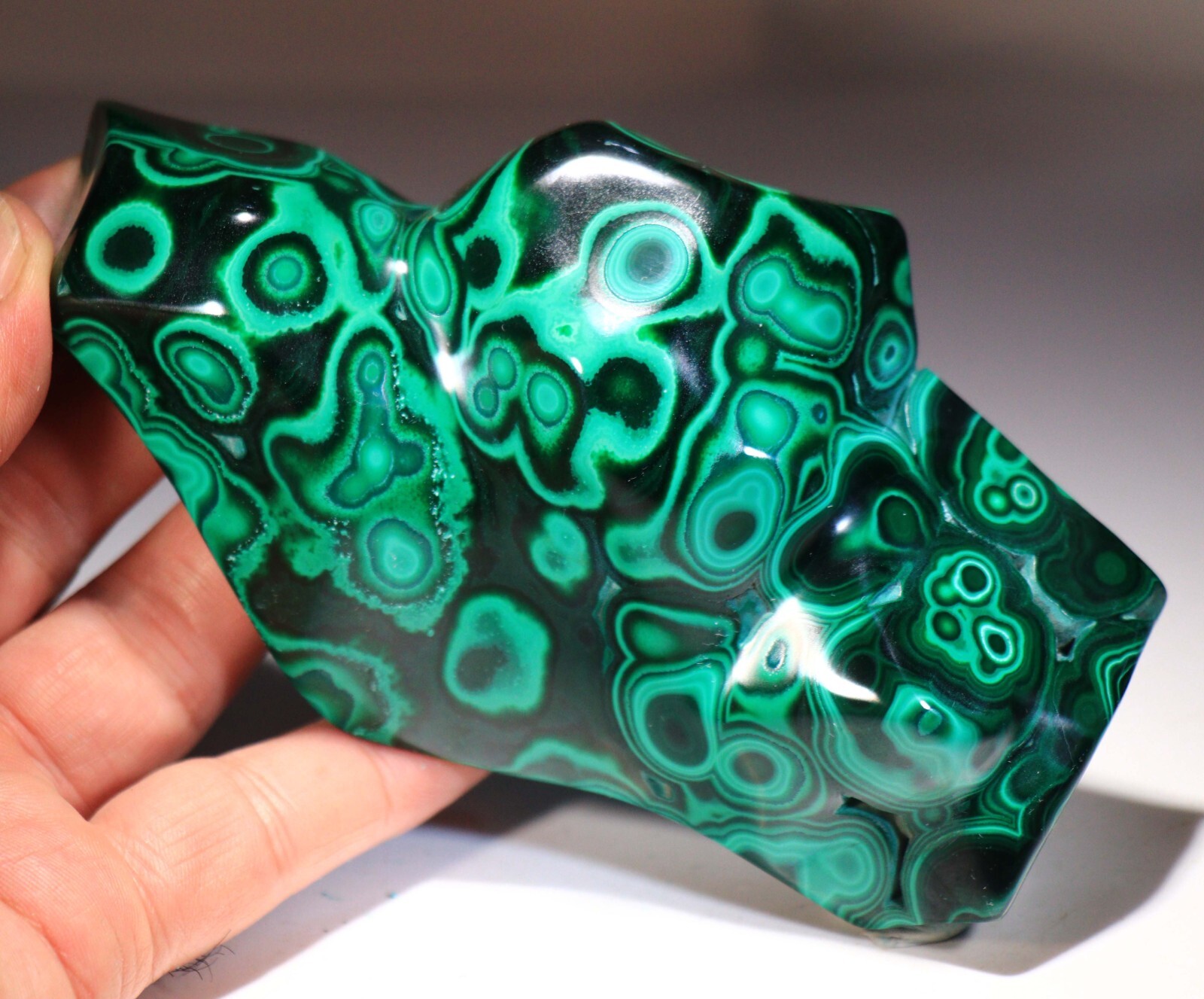 5.25″ Top Quality Vivid Green Malachite w/Blue Chrysocolla , Congo! CR115