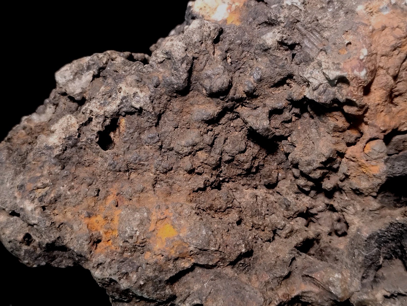 8″ Rare Missouri Iron-Aged Fossil Wood in Smoky Chalcedony – Knob Creek