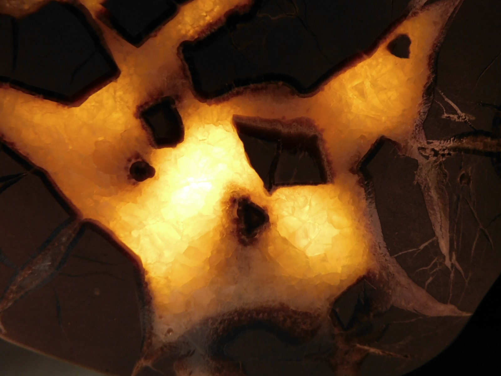 Polished FLUORESCENT SEPTARIAN Nodule Slice 100% Natural w/Stand 244gr
