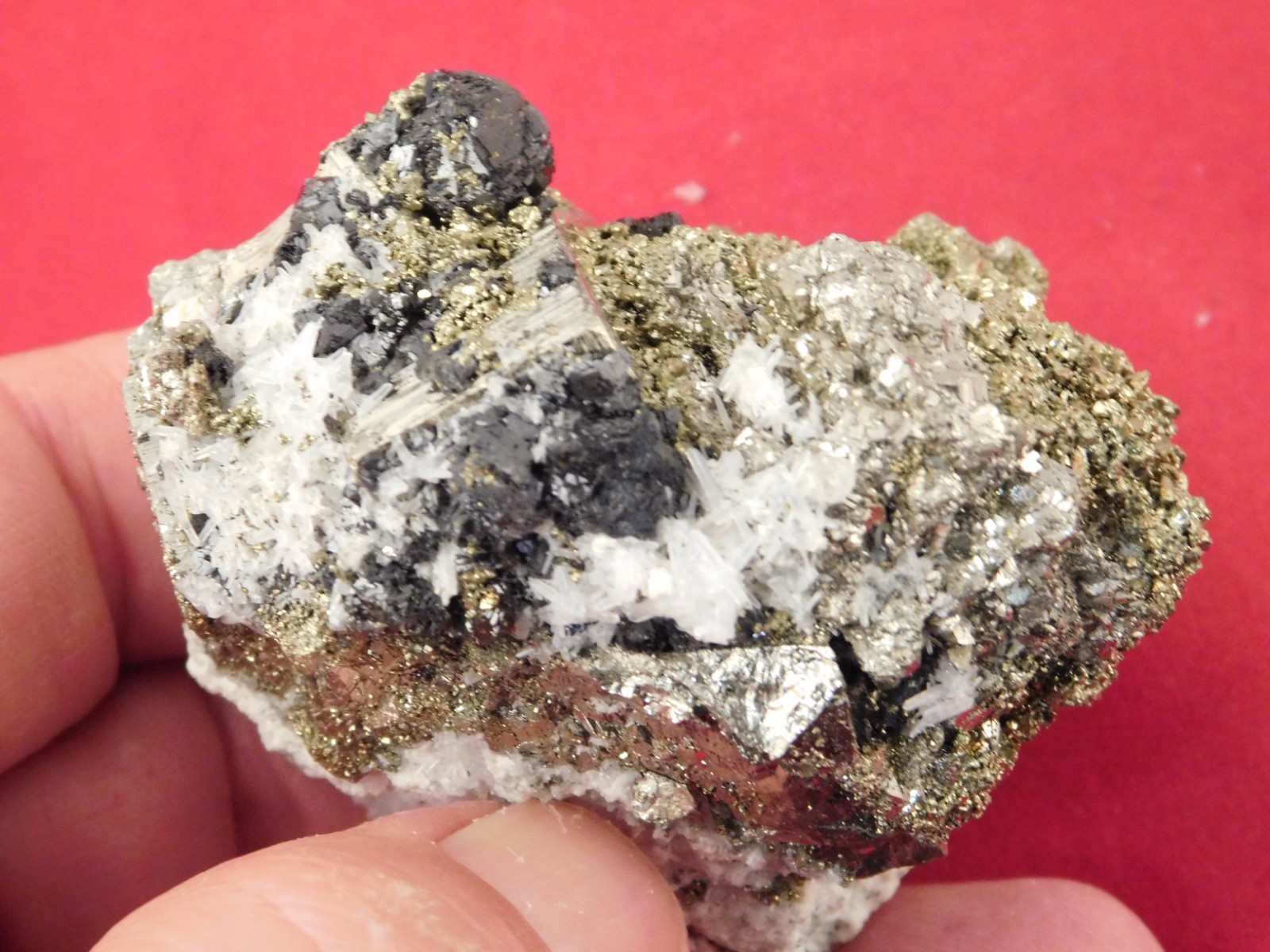 Druzy PYRITE Crystal CUBE Cluster with Sphalerite and Chalcopyrite Peru 217gr