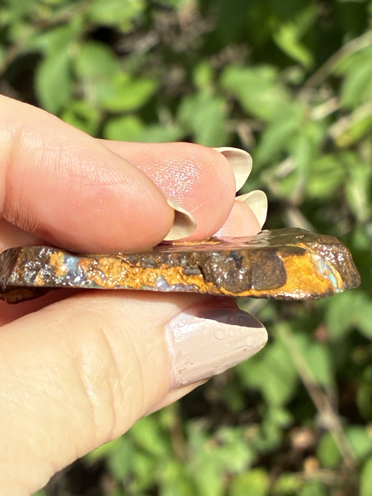 Beautiful 88ct Large Australian Boulder Opal Rough Loose Spider Specimen Green D
