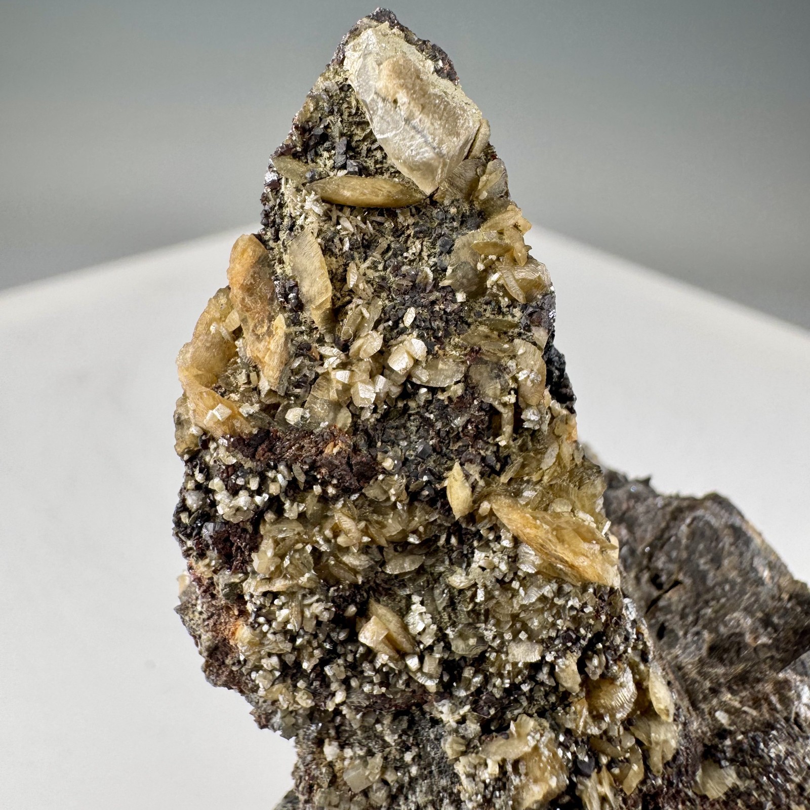 Wulfenite Crystals on Matrix: Lill Mine, Přibram, Czech Republic- Classic!!