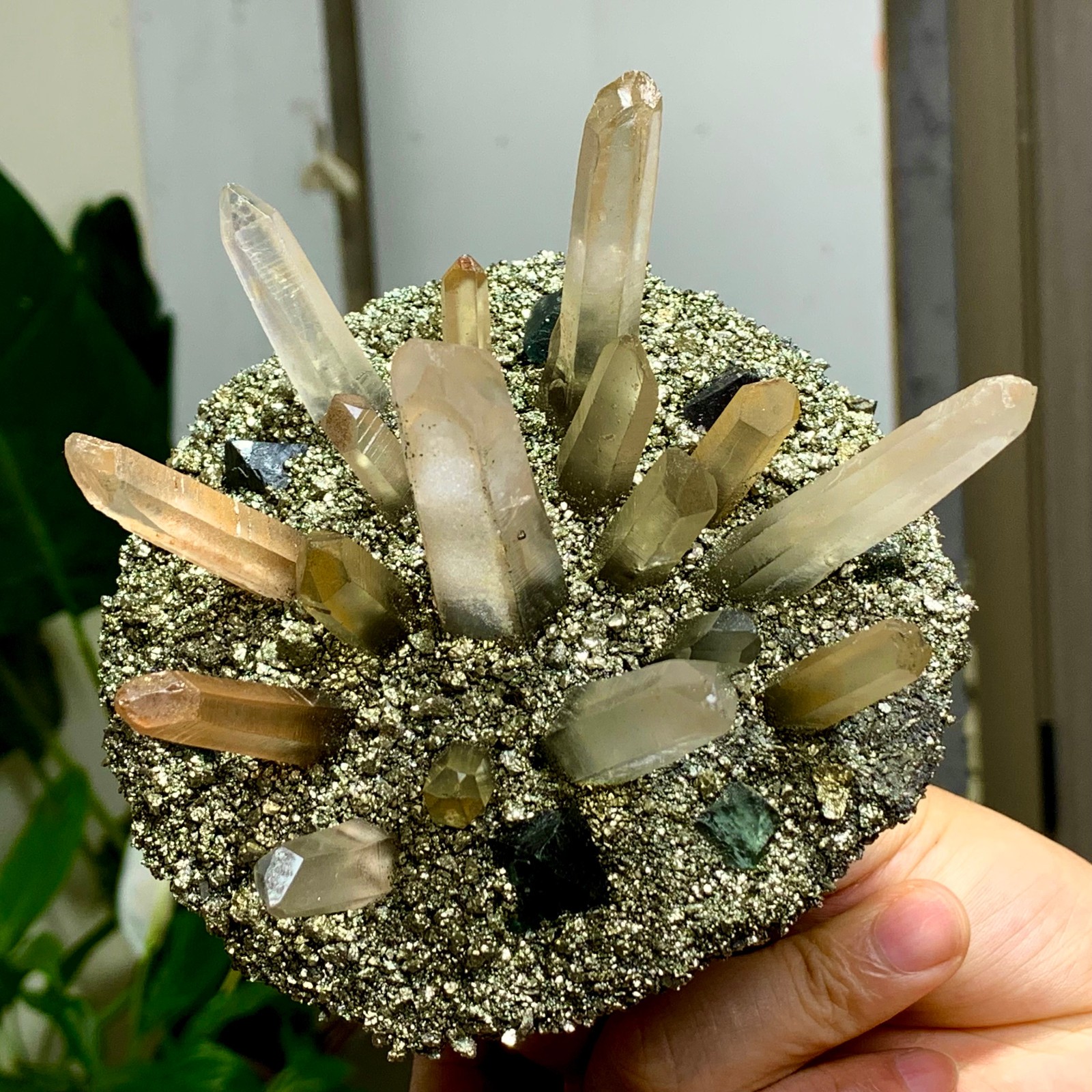 492G Coexistence of natural quartz and pyrite green fluorite crystal clusters