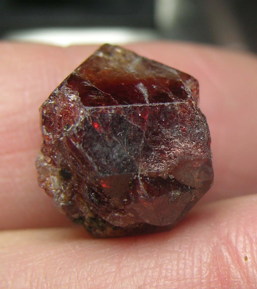 #11 Afghanistan 36.85ct Natural Octagonal Brownish Red Zircon Specimen 7.3g 15mm
