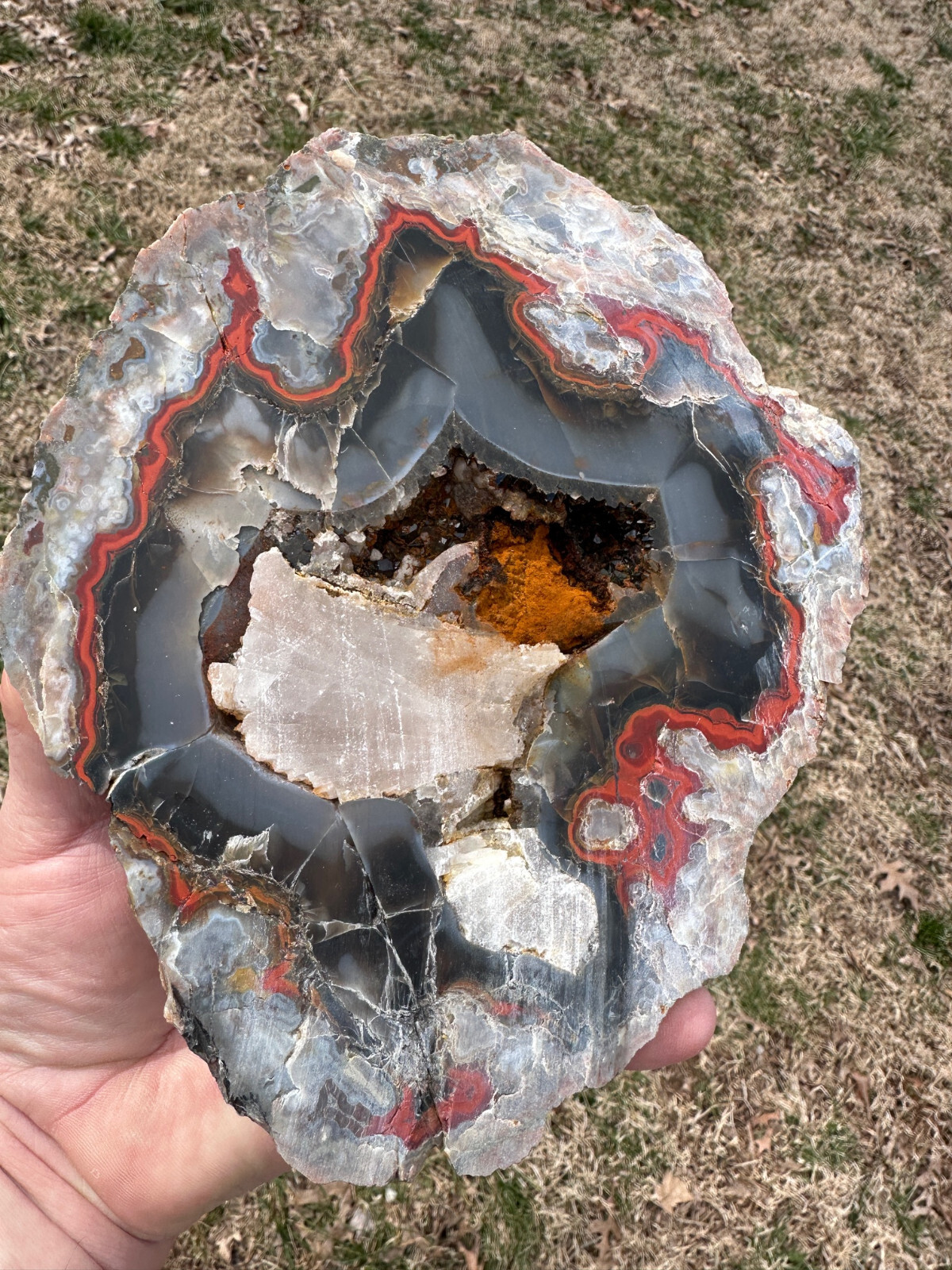 8 1/8”__Beautiful Imperial Kentucky Agate Slab from Estill County