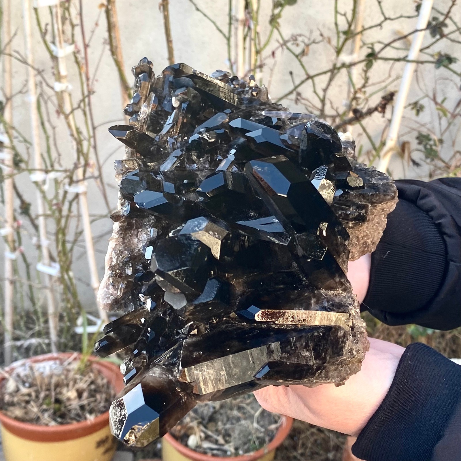 5.25LB Large Natural black Quartz Crystal Cluster Rough Specimen Healing Stone.
