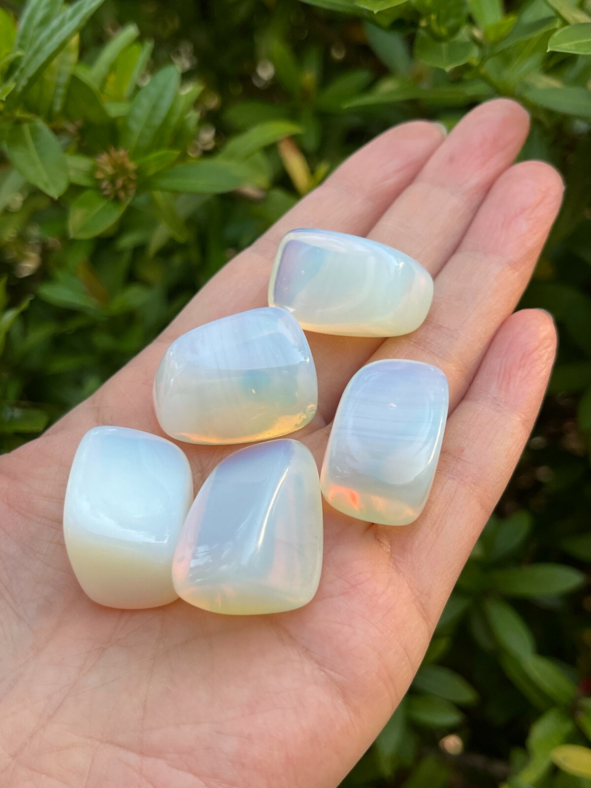 Grade A++ Opalite Tumbled Stones, 0.85-1.25 Inches Tumbled Opalite,Wholesale Lot