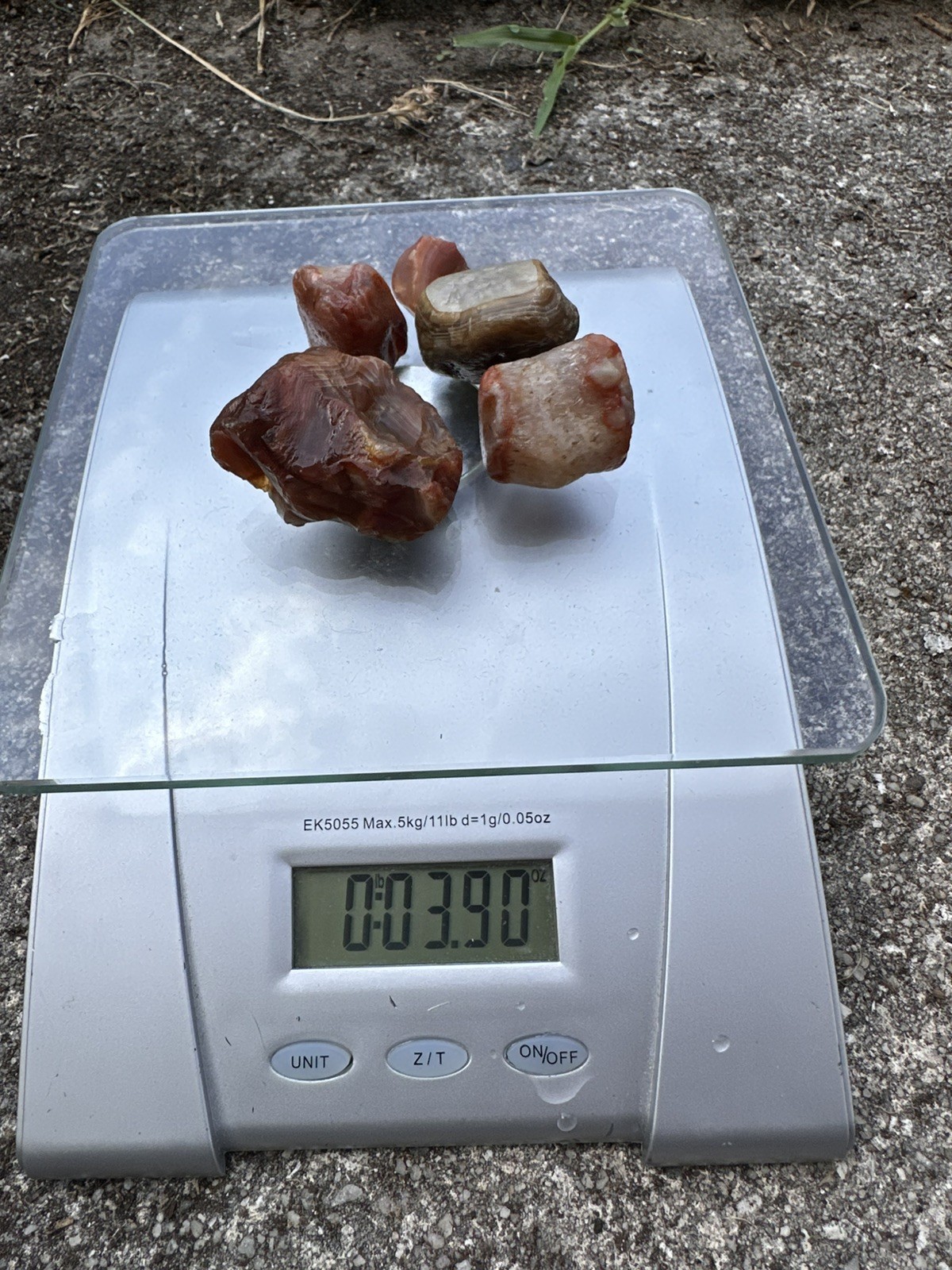 3.90 oz Lake Superior Agate Lapidary Lot 5 Multicolor Beauty’s