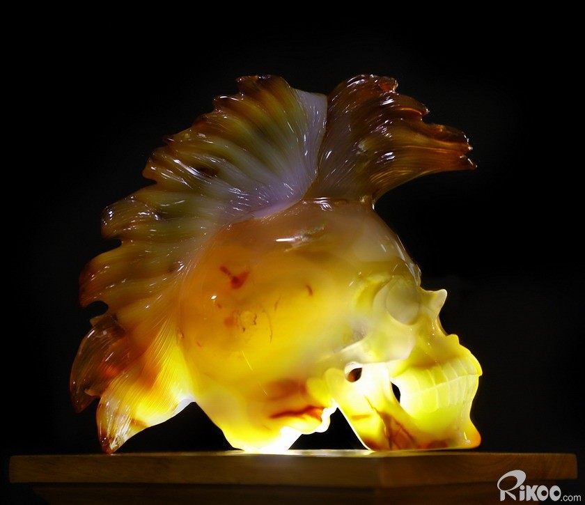 Rikoo Rosewood LED White Light Display Stand