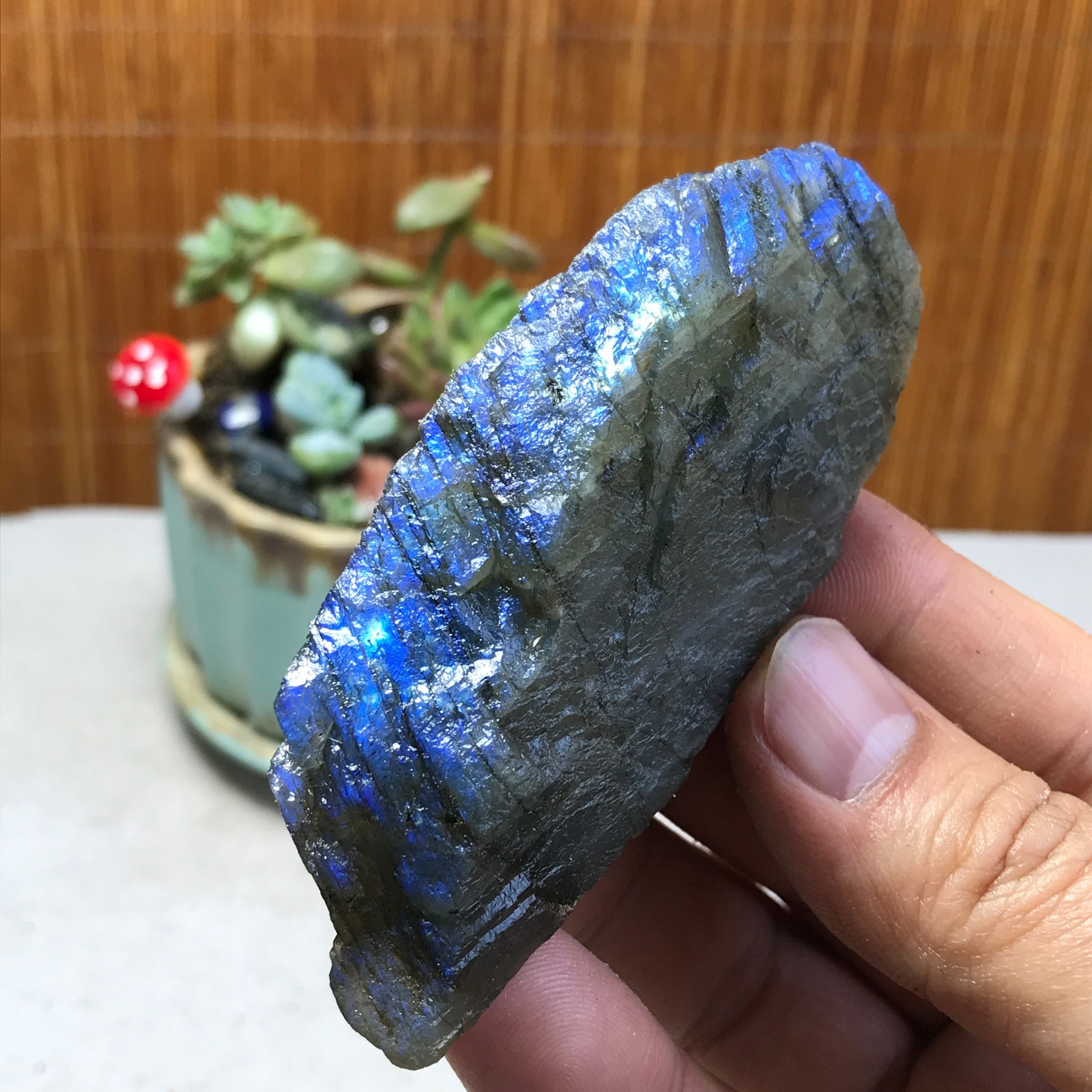 93-38-21mm Natural Labradorite Crystal gemstone Rough Mineral Specimen A5397