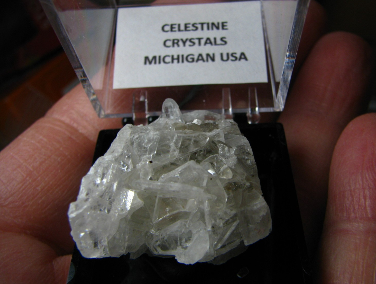 CLEAR/OPAQUE WHITE CELESTINE CRYSTALS MINIATURE IN CASE MICHIGAN USA #066