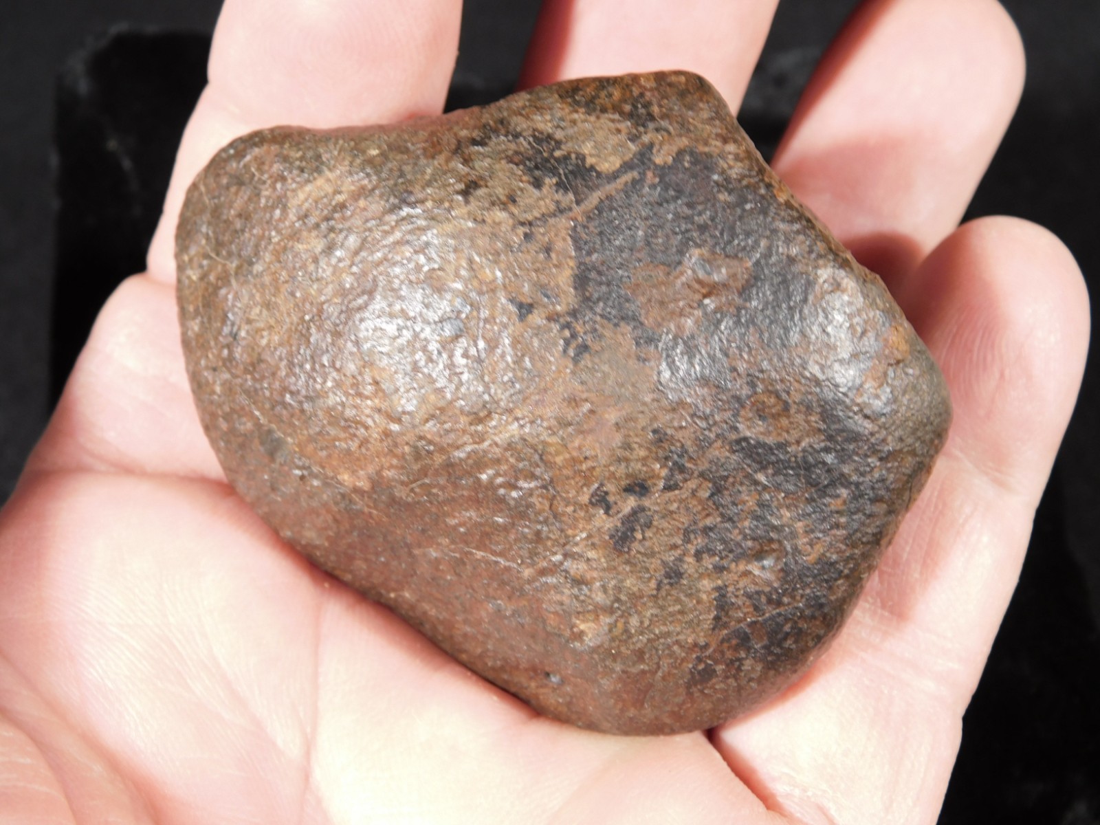 Nice! and 100% Natural Stony METEORITE FELL in Libya 181gr
