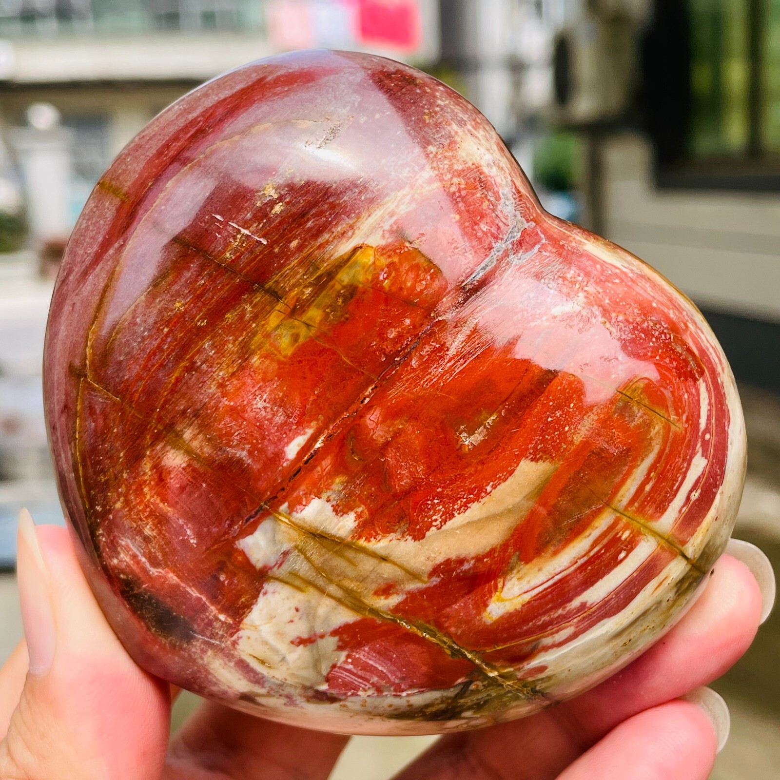 364g Natural Petrified Wood Jade Quartz Crystal Fossil Heart Shape Specimen