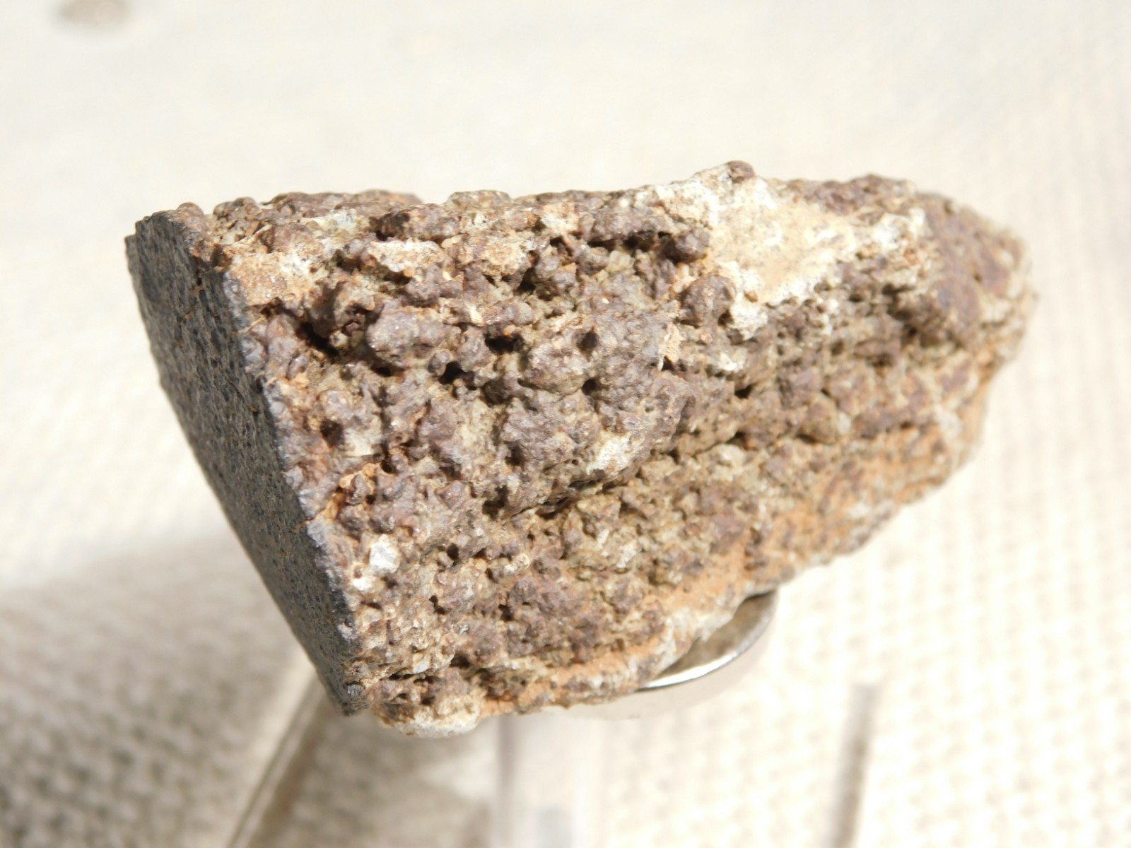 Classified NWA 8245 METEORITE Spots of Dark Fusion Crust! Erfoud, Morocco 136gr