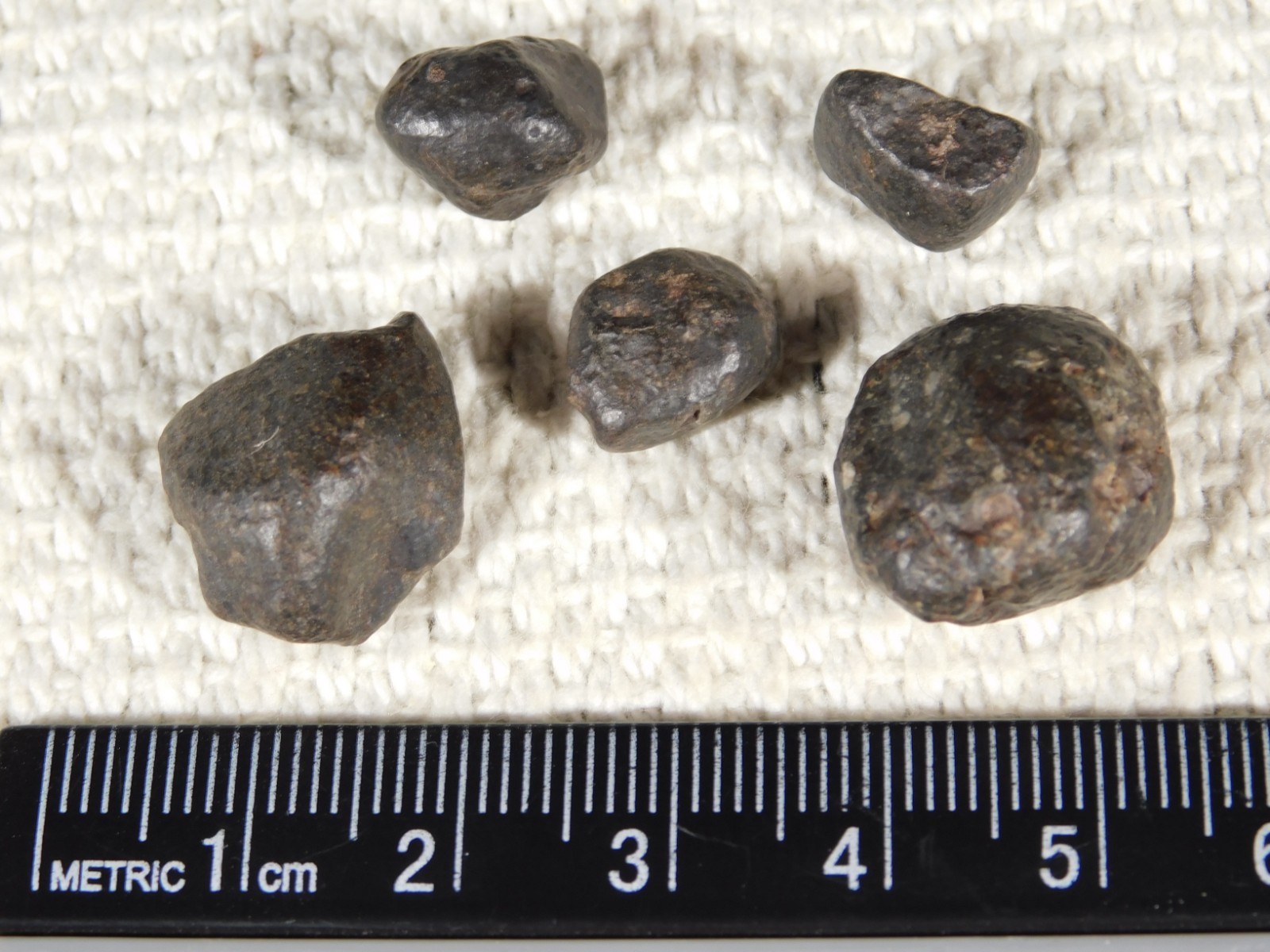Lot of FIVE! Little 100% Natural N.W.A. Stony METEORITES Algeria 13.2gr