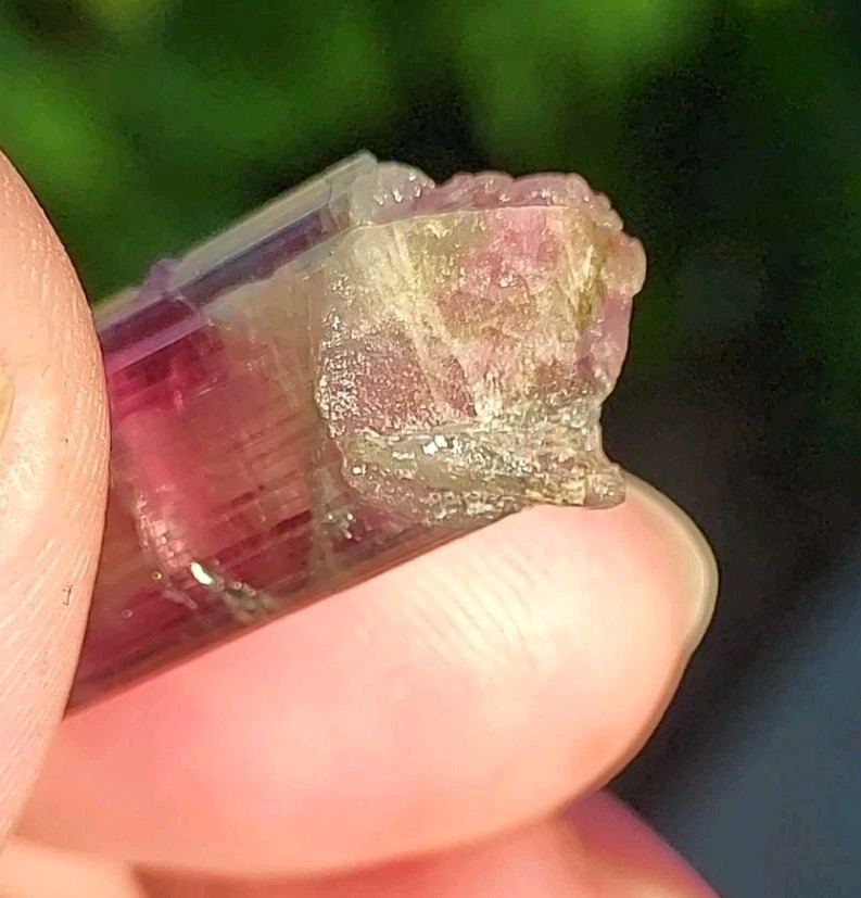 ULTRA RARE BURKHARD’S POCKET TOURMALINE NO REPAIRS PEDERNEIRA MINE BRAZIL