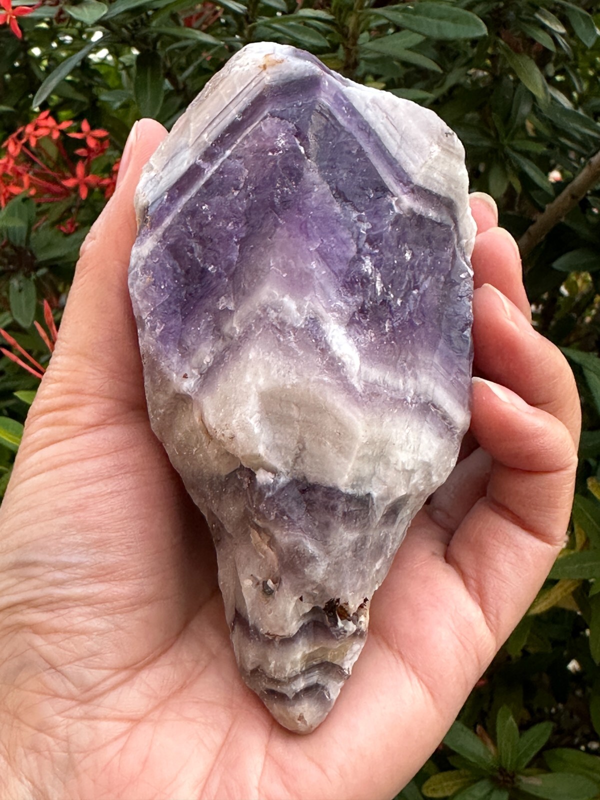 Extra Large Chevron Amethyst Rough Stone, 2″- 7″ Raw Chevron Amethyst Crystals