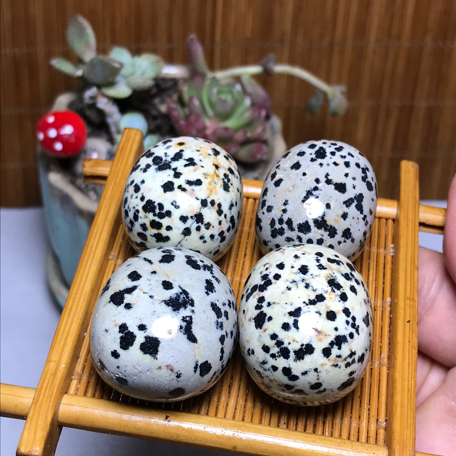 28-23-23mm 4Pcs Natural spotted stone Crystal gemstone Mineral Specimen A4404