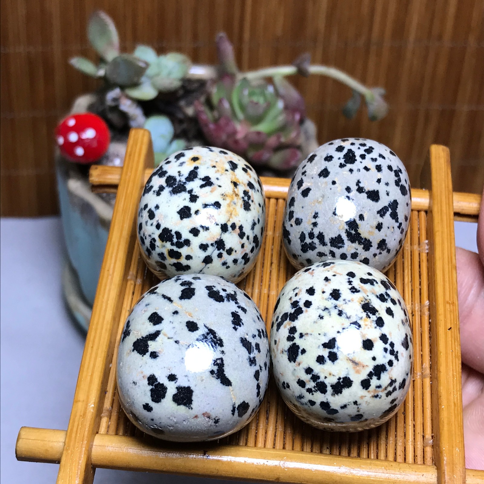 28-23-23mm 4Pcs Natural spotted stone Crystal gemstone Mineral Specimen A4404