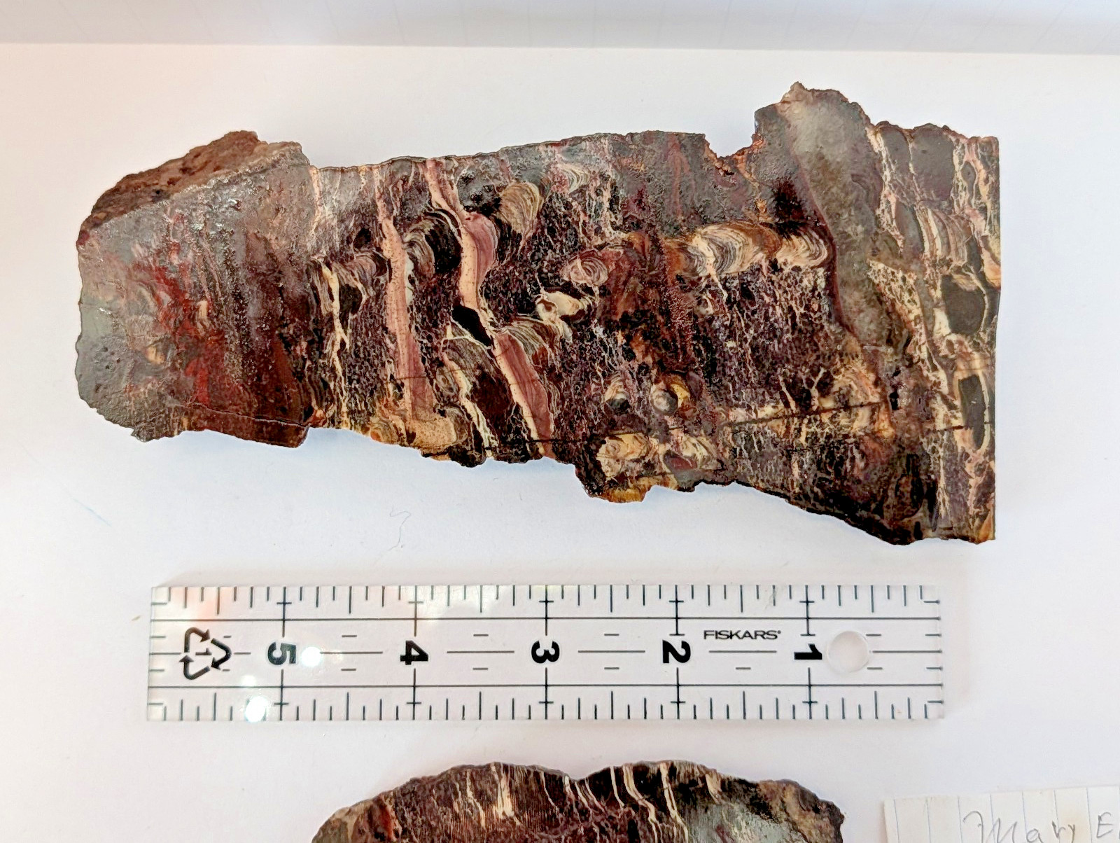 Mary Ellen Stromatolite Pair Iron Range Minnesota Polished Face 378g + 175g